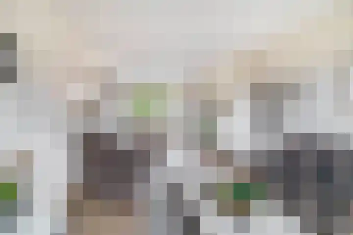 Ranonkellaan 14 Krommenie foto 2