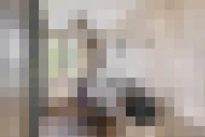 Ranonkellaan 14 Krommenie thumbnail 22
