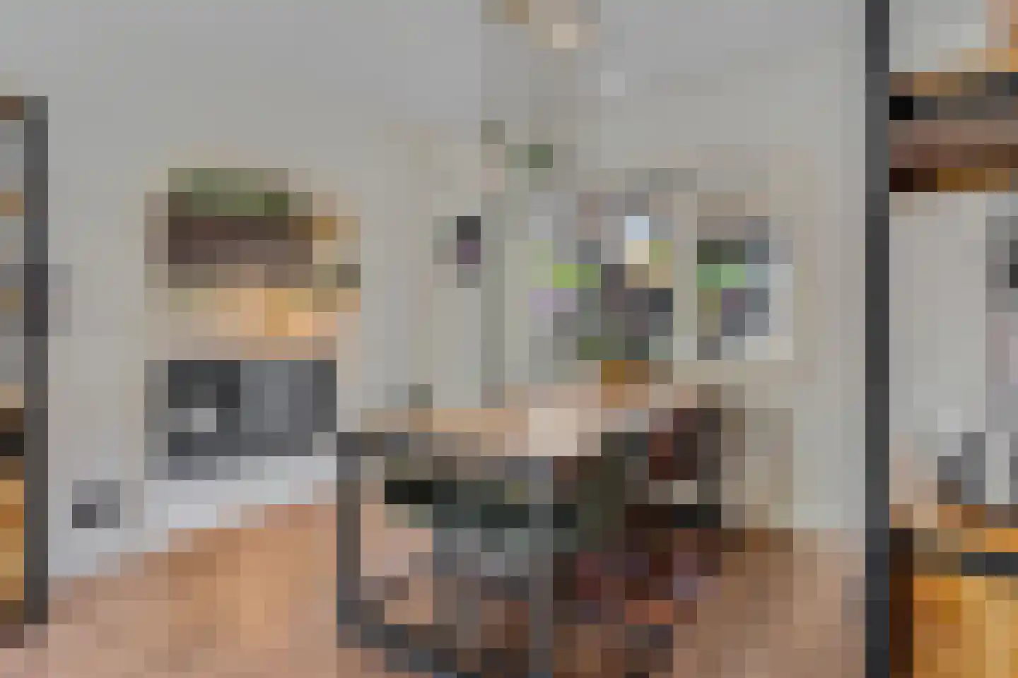 Ranonkellaan 37 Ede thumbnail 10