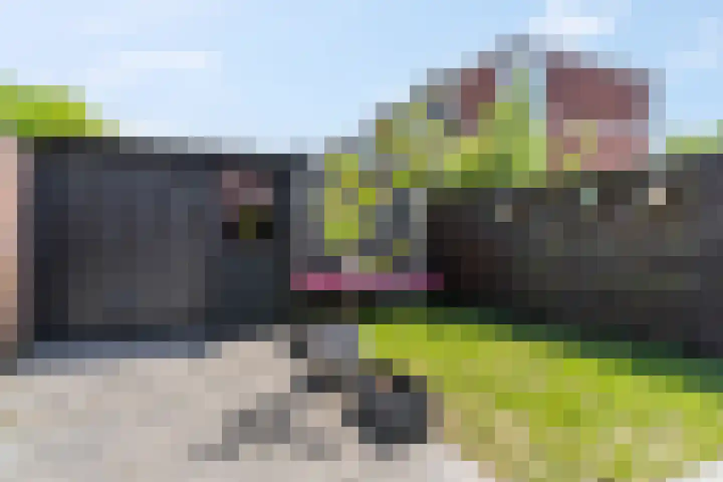Ranonkellaan 37 Ede thumbnail 28