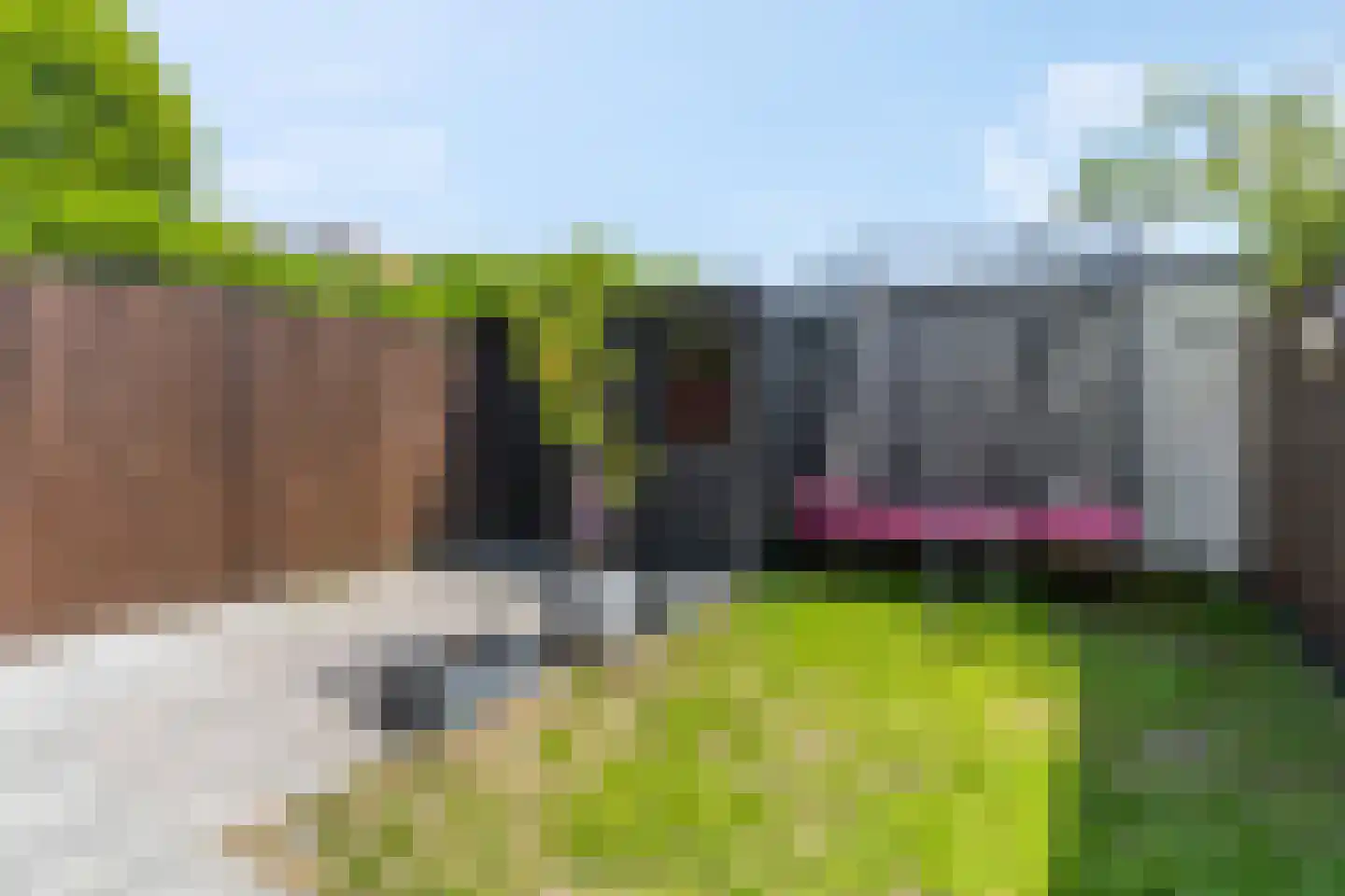 Ranonkellaan 37 Ede thumbnail 4