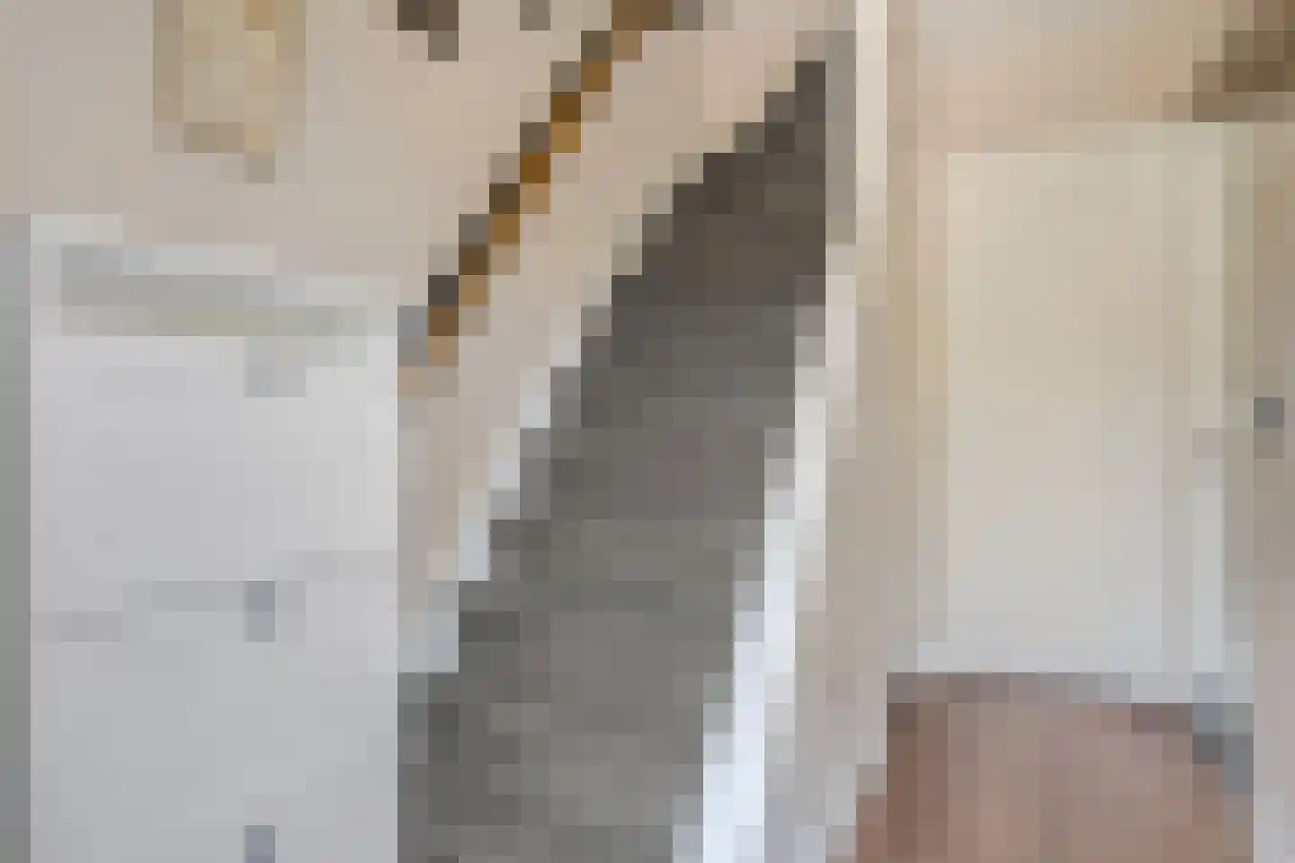 Ranonkellaan 37 Ede thumbnail 7
