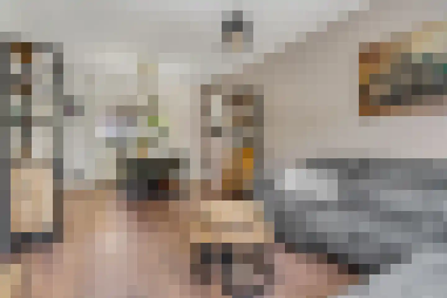 Ranonkellaan 37 Ede thumbnail 9