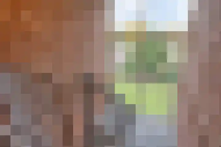 Ranonkellaan 56 2 Ede thumbnail 15