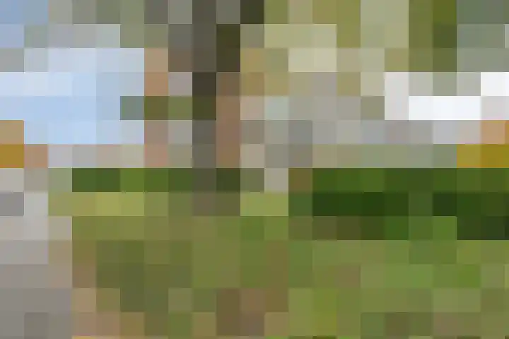 Ranonkellaan 56 2 Ede thumbnail 17