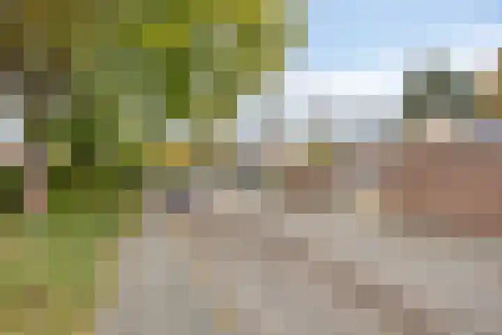 Ranonkellaan 56 2 Ede thumbnail 18
