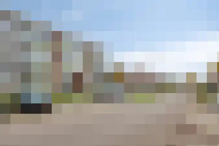 Ranonkellaan 56 2 Ede thumbnail 20