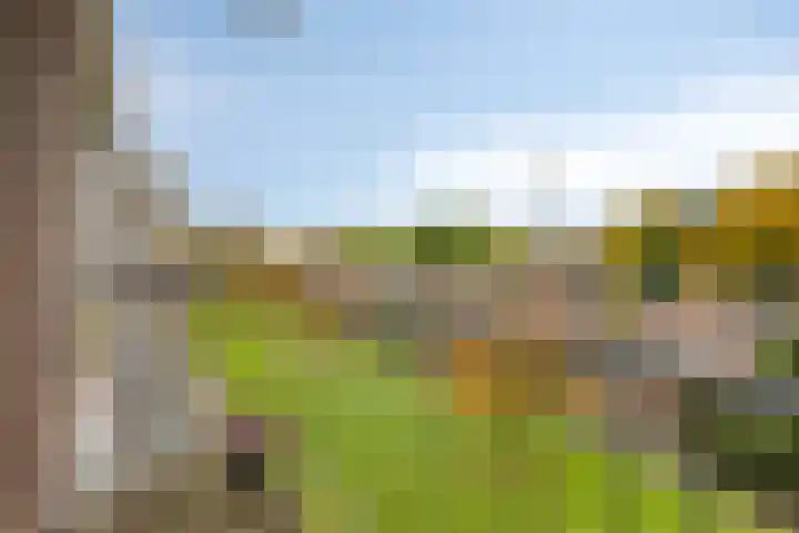 Ranonkellaan 56 2 Ede thumbnail 7