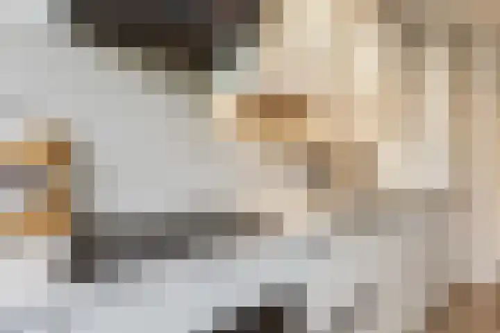 Ranonkellaan 60 1 Ede thumbnail 10