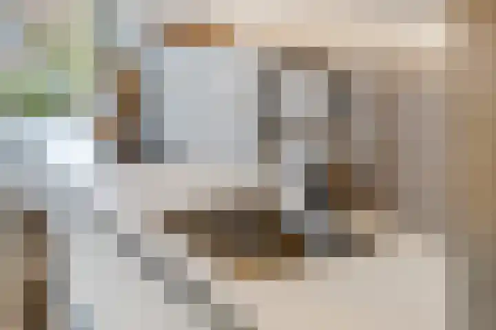 Ranonkellaan 60 1 Ede thumbnail 11