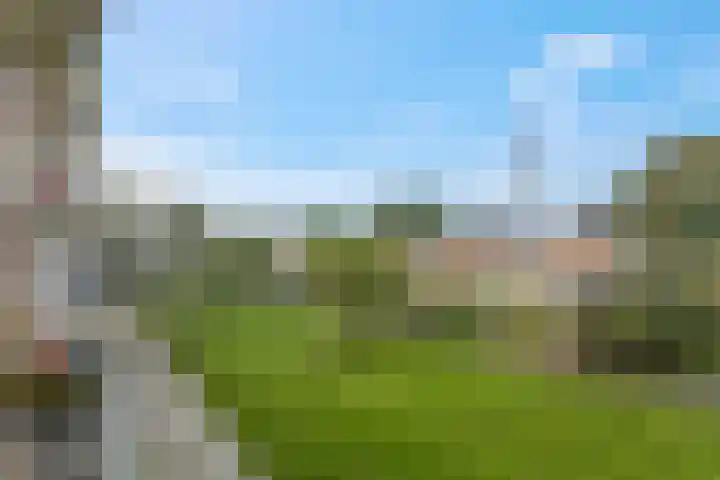 Ranonkellaan 60 1 Ede thumbnail 14