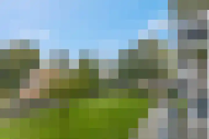 Ranonkellaan 60 1 Ede thumbnail 15