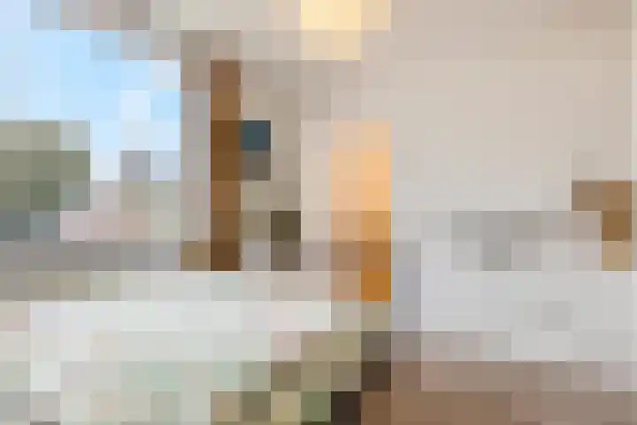 Ranonkellaan 60 1 Ede thumbnail 17