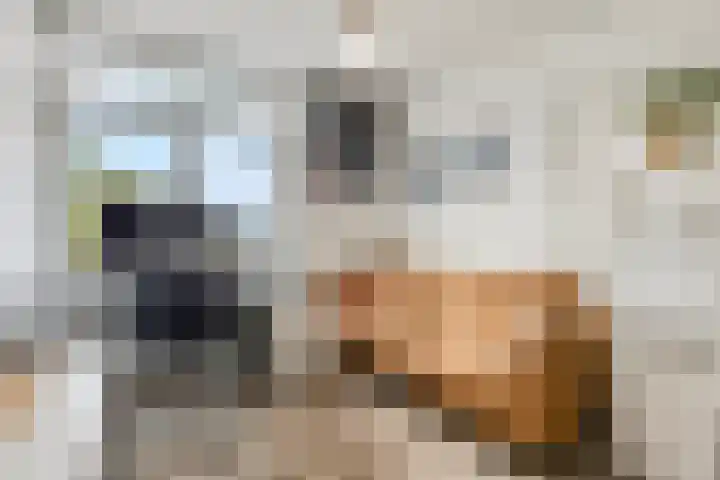 Ranonkellaan 60 1 Ede thumbnail 20