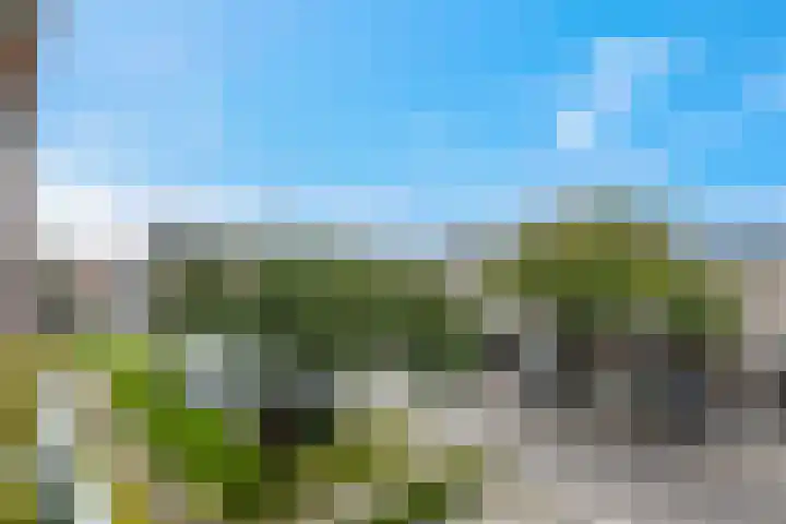Ranonkellaan 60 1 Ede thumbnail 24