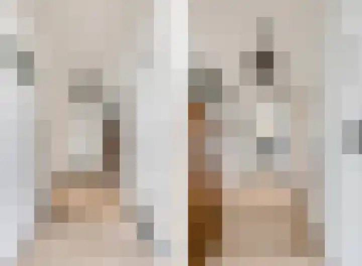 Ranonkellaan 60 1 Ede thumbnail 4