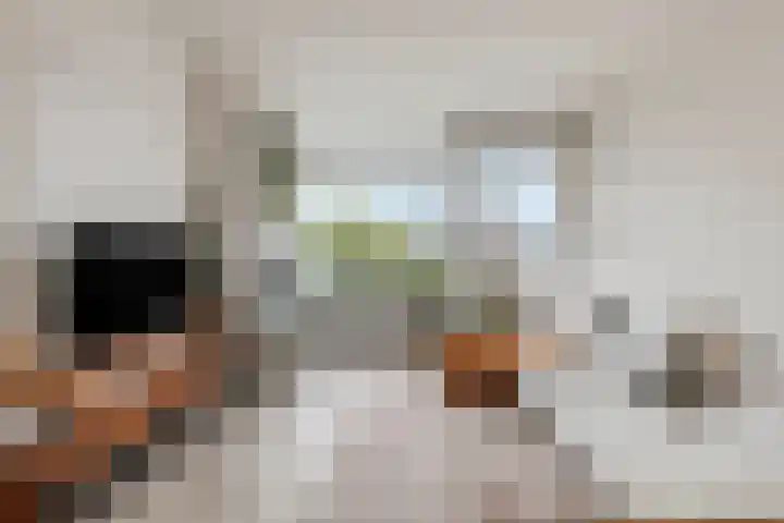 Ranonkellaan 60 1 Ede thumbnail 6