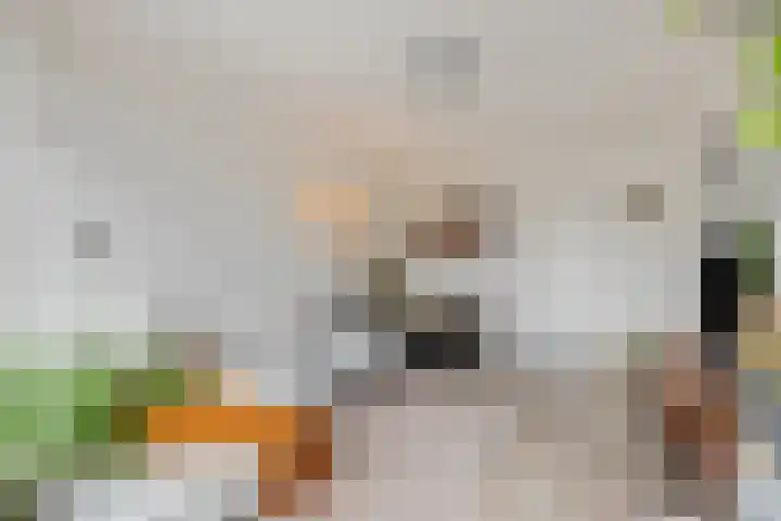 Ranonkellaan 60 1 Ede thumbnail 8
