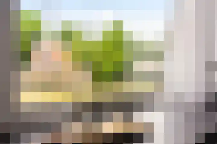 Ranonkellaan 60 Ede thumbnail 14