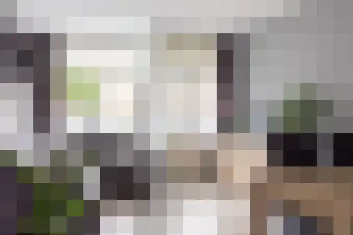 Ranonkellaan 60 Ede thumbnail 15