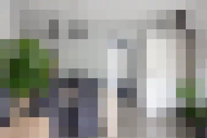 Ranonkellaan 60 Ede thumbnail 18