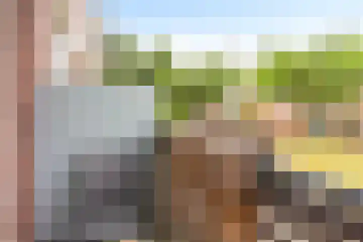 Ranonkellaan 60 Ede thumbnail 20