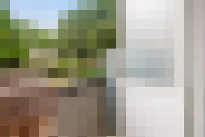 Ranonkellaan 60 Ede thumbnail 21