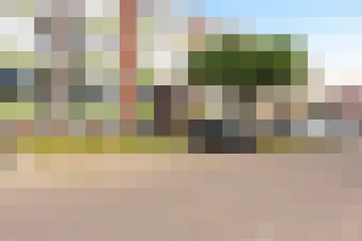 Ranonkellaan 60 Ede thumbnail 22