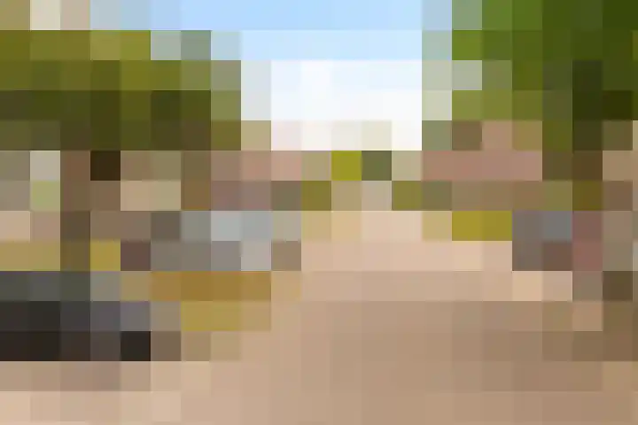 Ranonkellaan 60 Ede thumbnail 23
