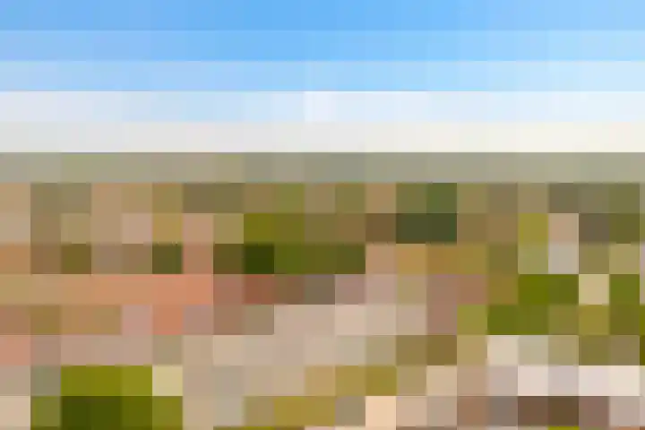 Ranonkellaan 60 Ede thumbnail 26