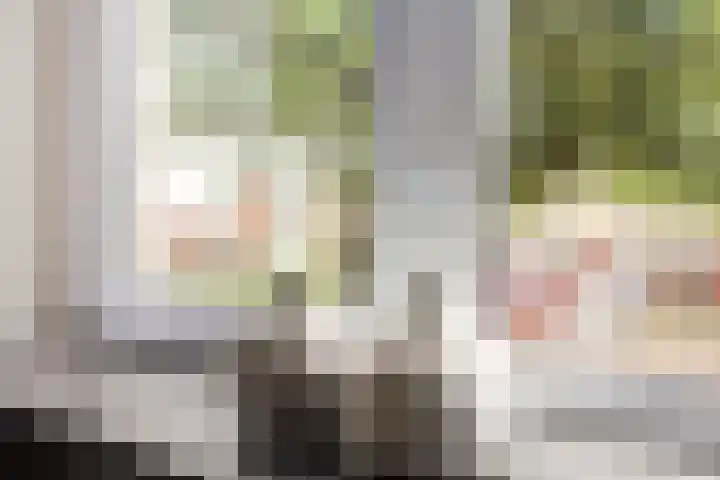Ranonkellaan 60 Ede thumbnail 7