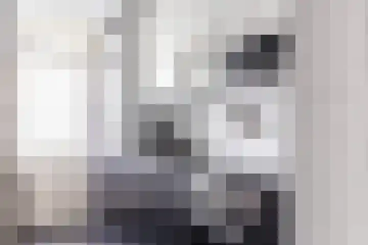Ranonkellaan 60 Ede thumbnail 8