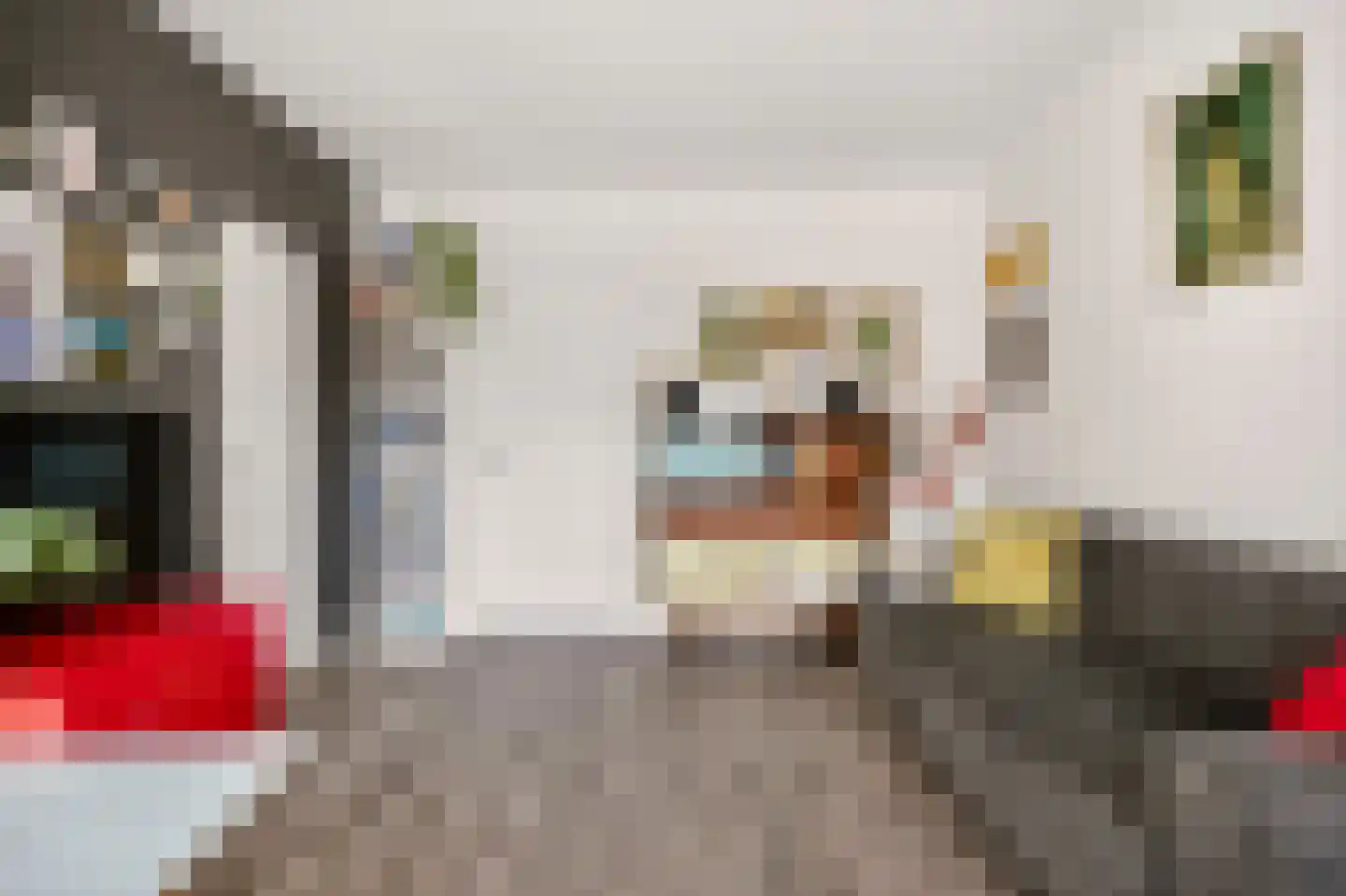 Ranonkellaan 66 Ede thumbnail 10