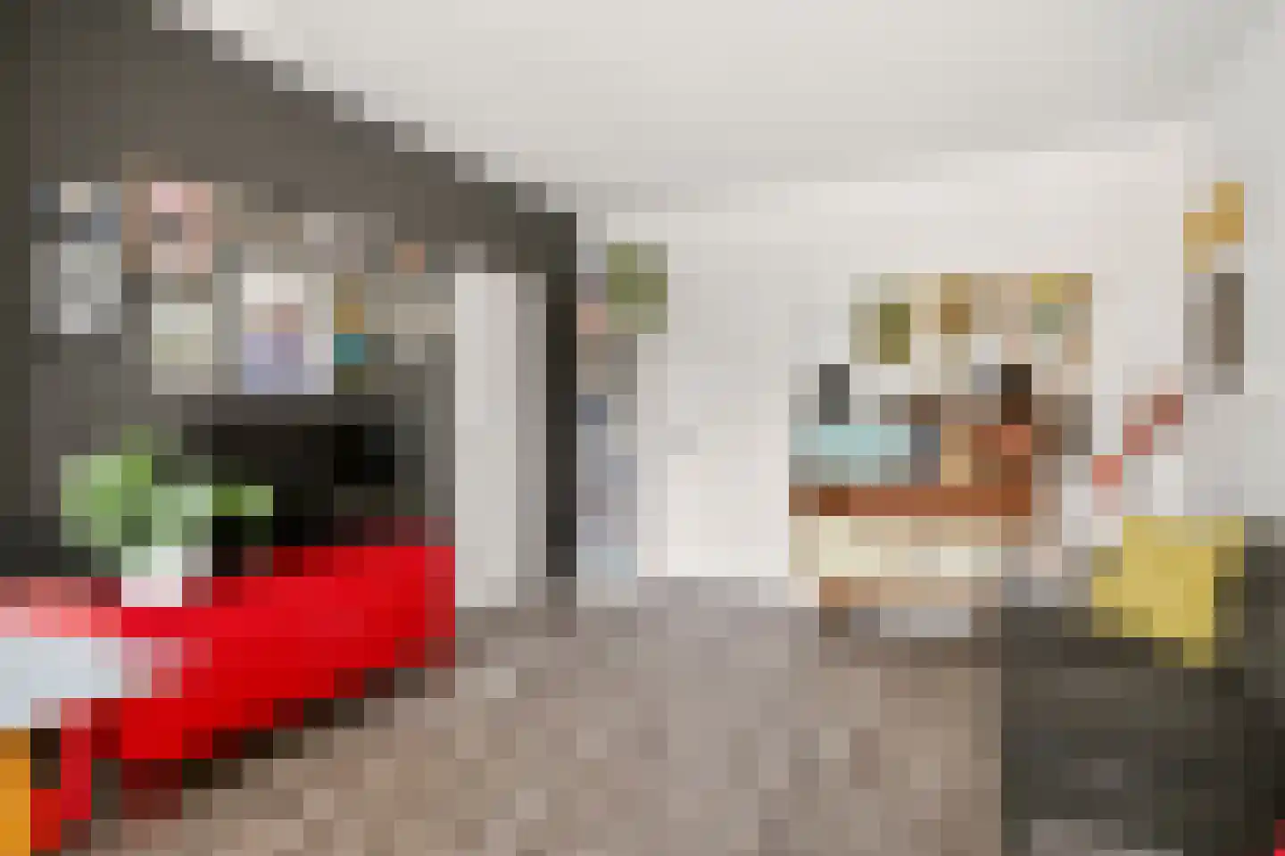 Ranonkellaan 66 Ede thumbnail 11