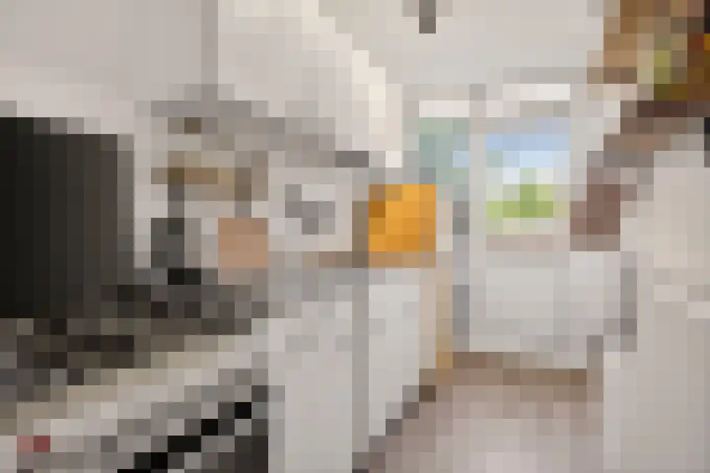 Ranonkellaan 66 Ede thumbnail 13