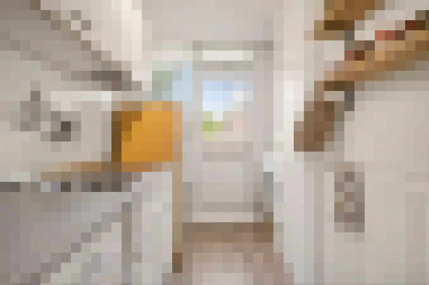 Ranonkellaan 66 Ede thumbnail 14