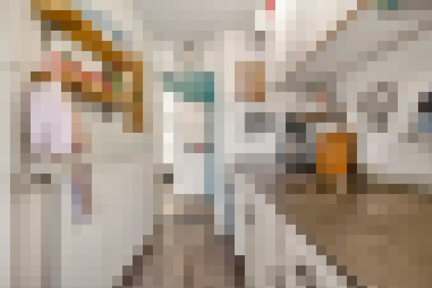 Ranonkellaan 66 Ede thumbnail 15