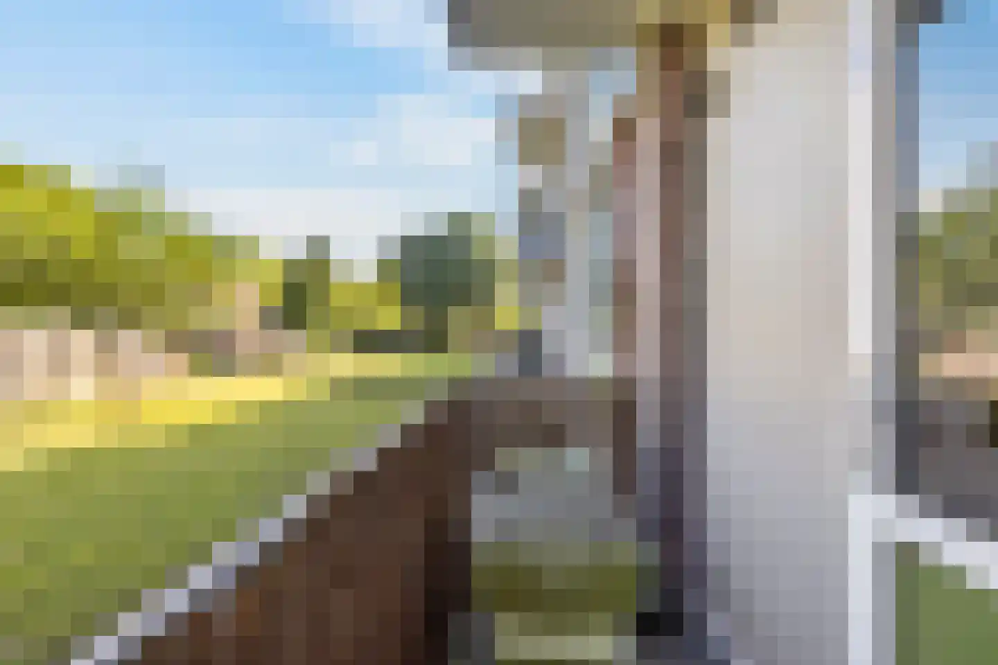 Ranonkellaan 66 Ede thumbnail 22