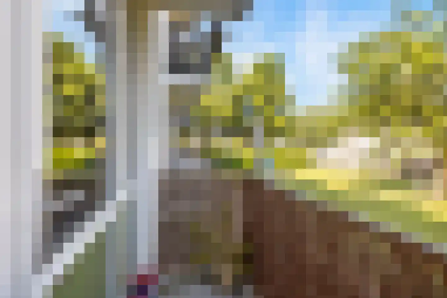 Ranonkellaan 66 Ede thumbnail 23
