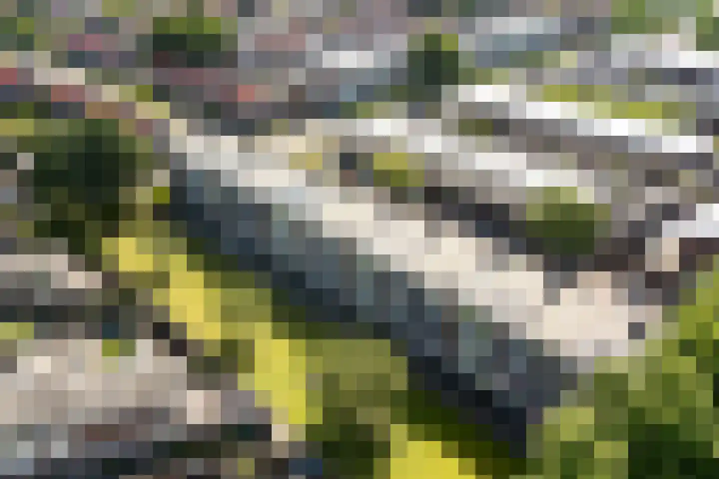 Ranonkellaan 66 Ede thumbnail 33