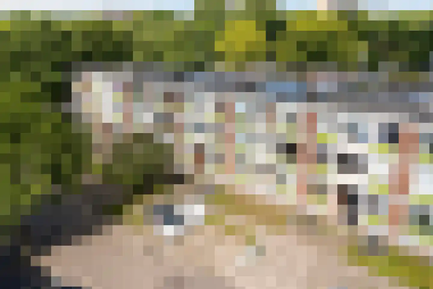 Ranonkellaan 66 Ede thumbnail 34