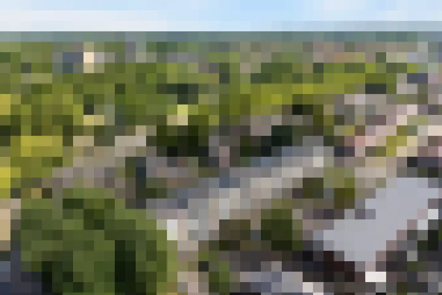 Ranonkellaan 66 Ede thumbnail 35