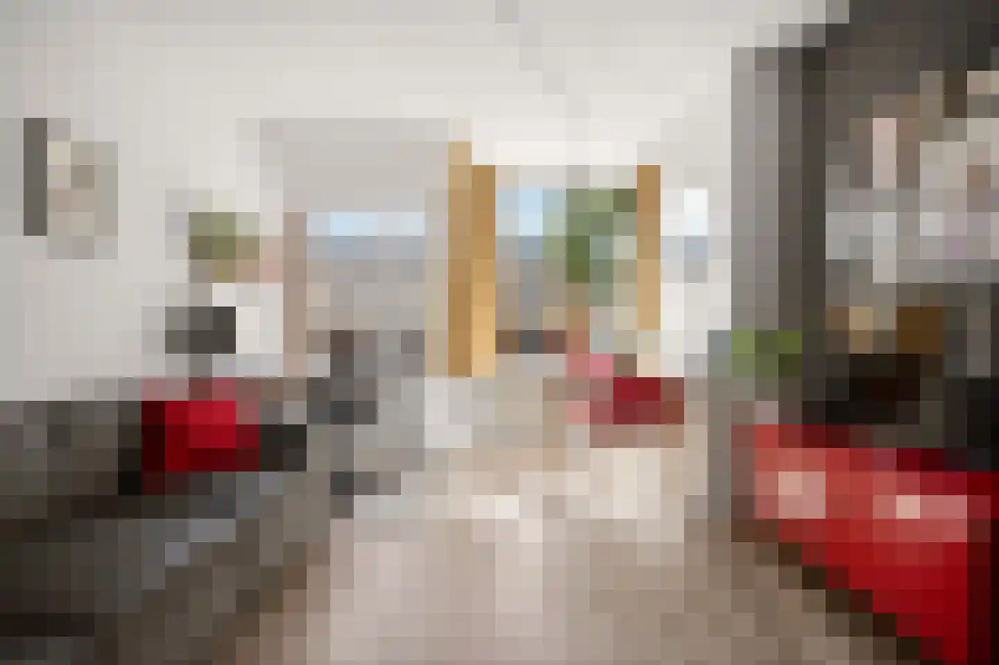 Ranonkellaan 66 Ede thumbnail 7