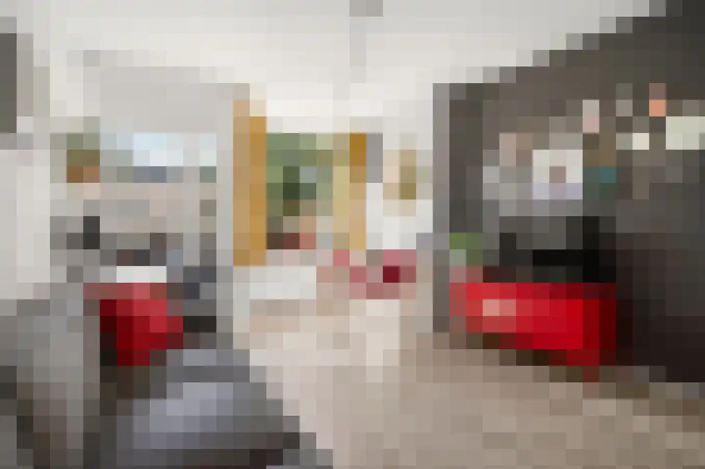 Ranonkellaan 66 Ede thumbnail 8