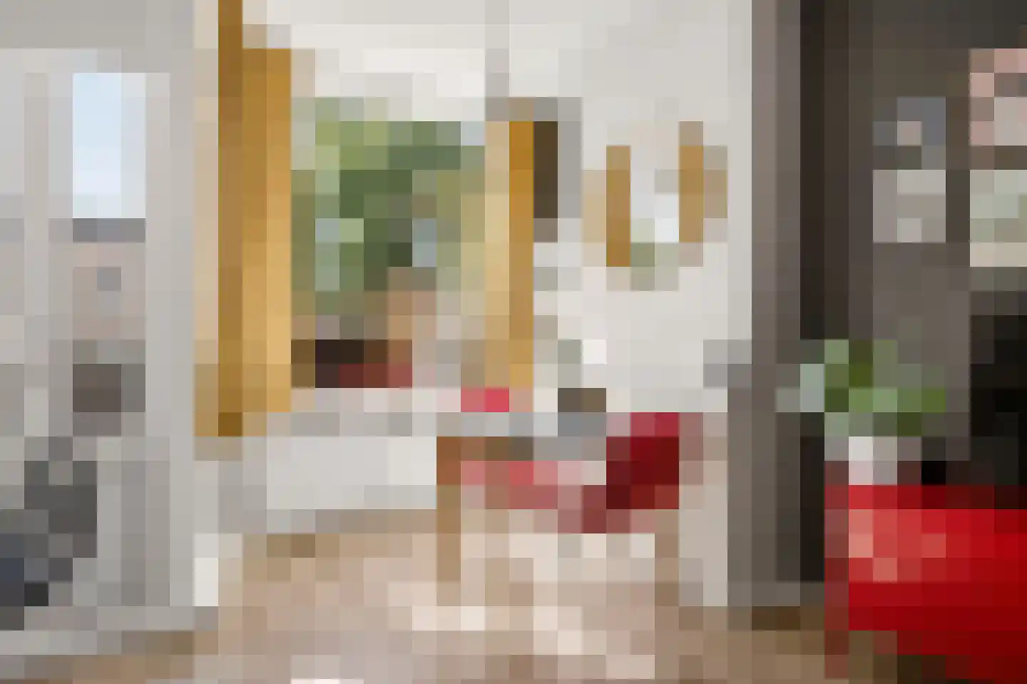 Ranonkellaan 66 Ede thumbnail 9