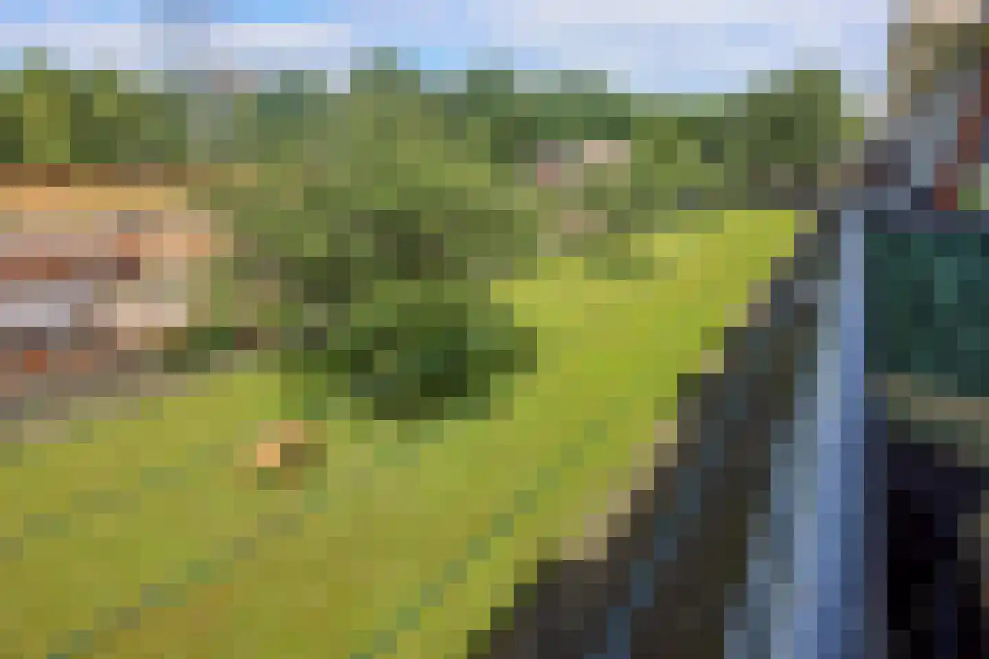 Ranonkellaan 70 2 Ede thumbnail 5