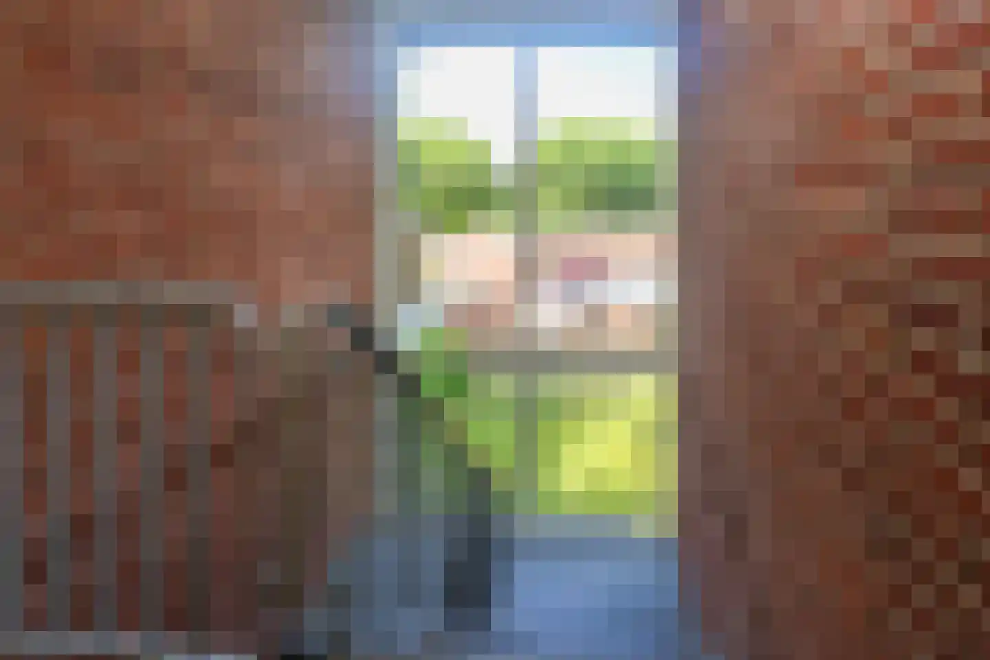 Ranonkellaan 70 2 Ede thumbnail 6