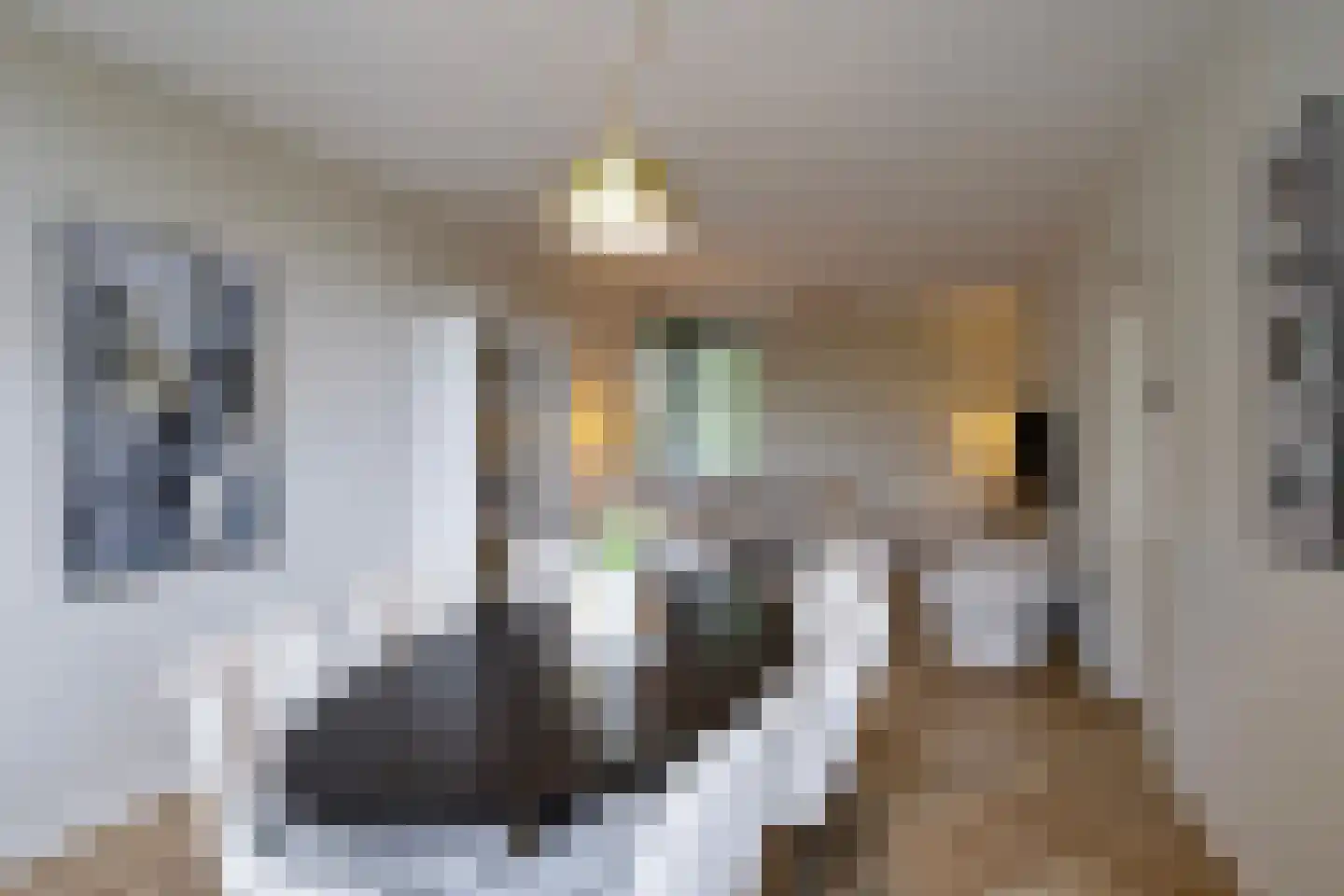 Ranonkellaan 72 2 Ede thumbnail 11