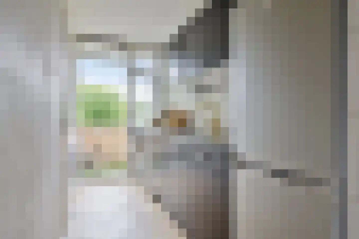 Ranonkellaan 72 2 Ede thumbnail 17