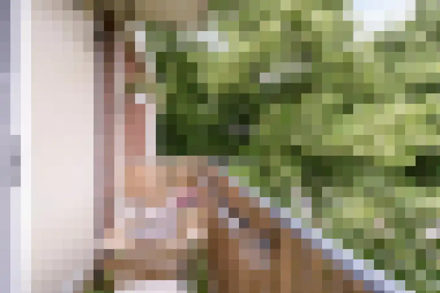 Ranonkellaan 72 2 Ede thumbnail 19